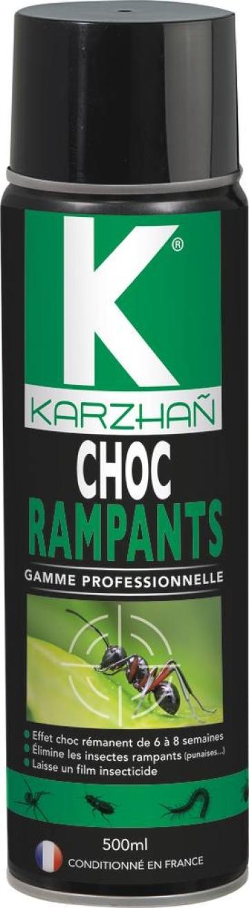 insecticide-choc-rampants-500ml