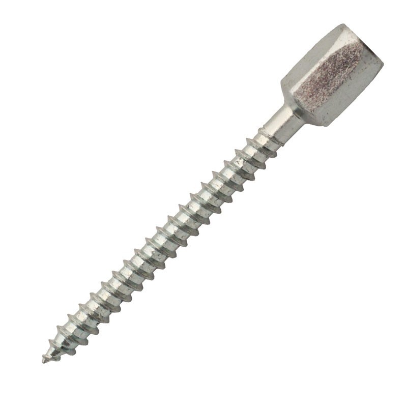 50-piton-renovation-m6-x-65-mm
