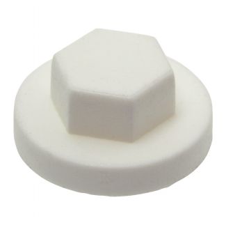 cache-vis-tecirc;te-hexagonale-blanc-ral-9010