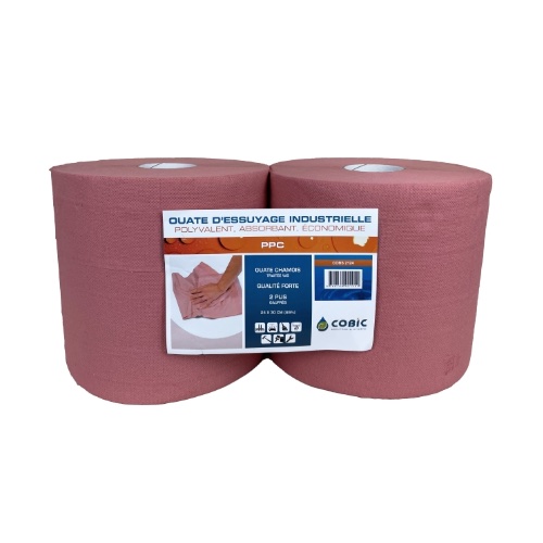 ouate-d-essuyage-chamois-par-2