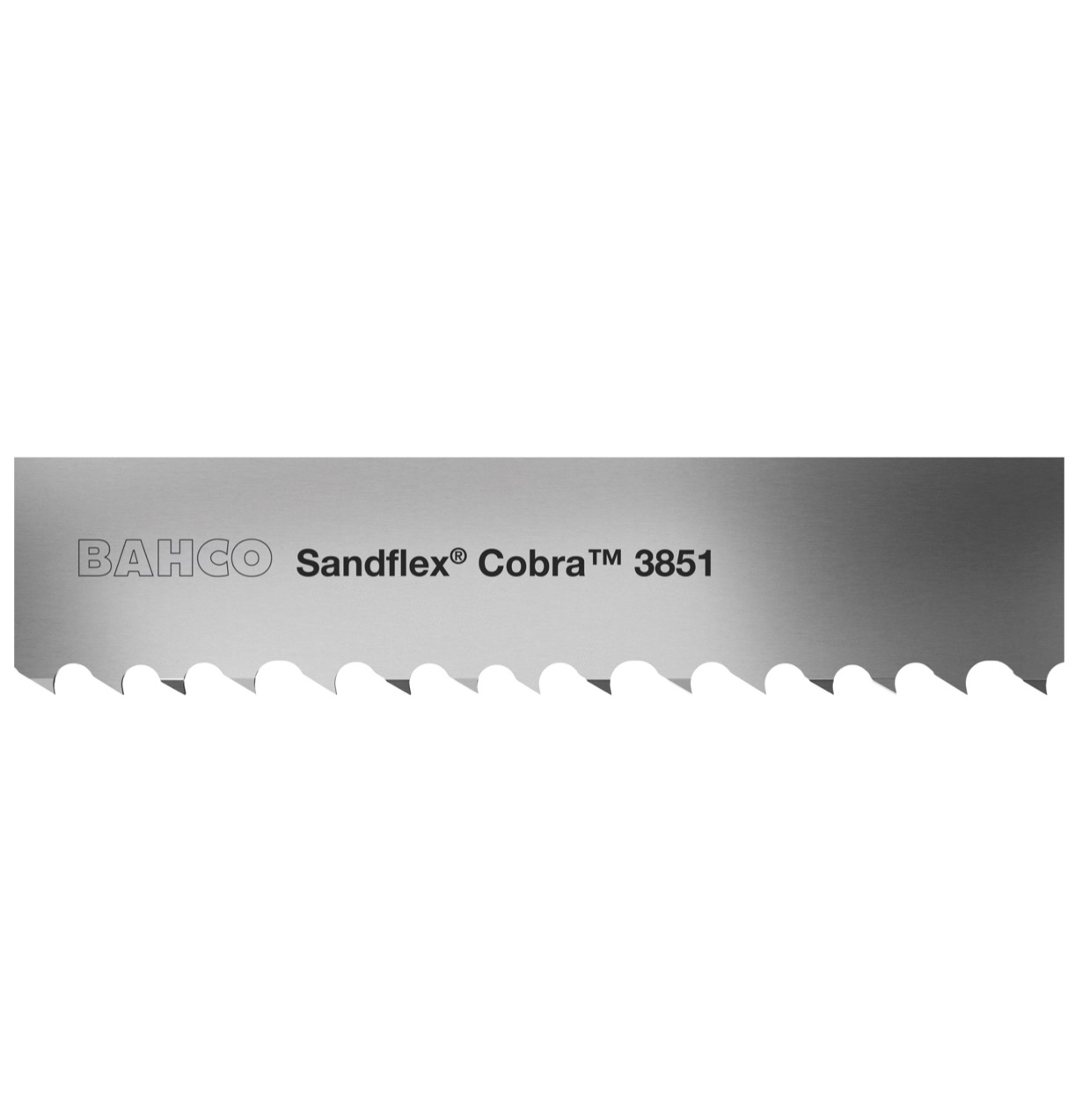 lame-de-scie-ruban-bimeacute;tal-3851-sandflex-cobra