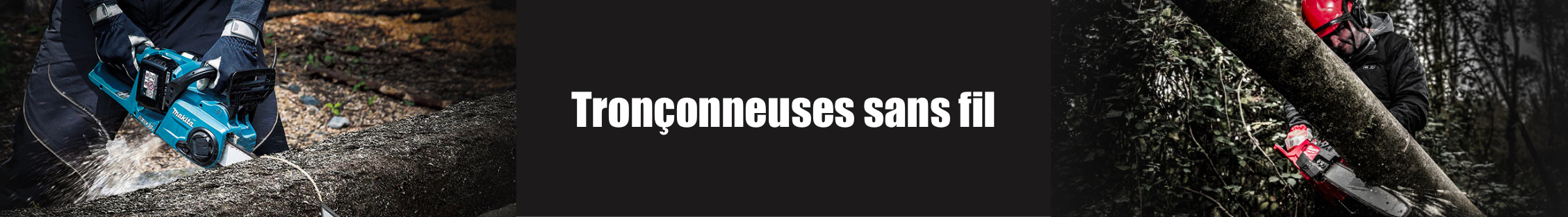 tronccedil;onneuses
